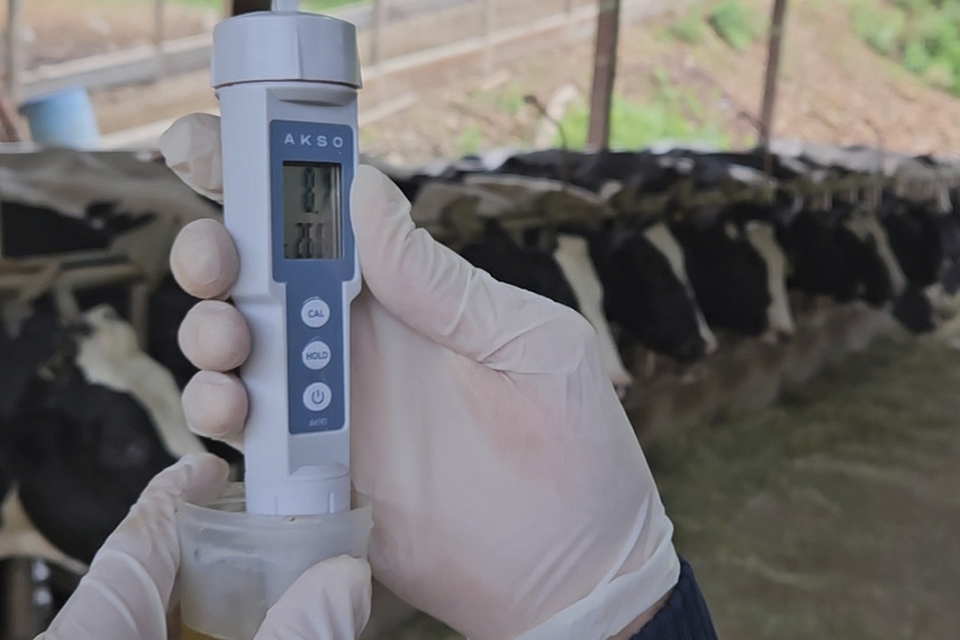 Image is not available